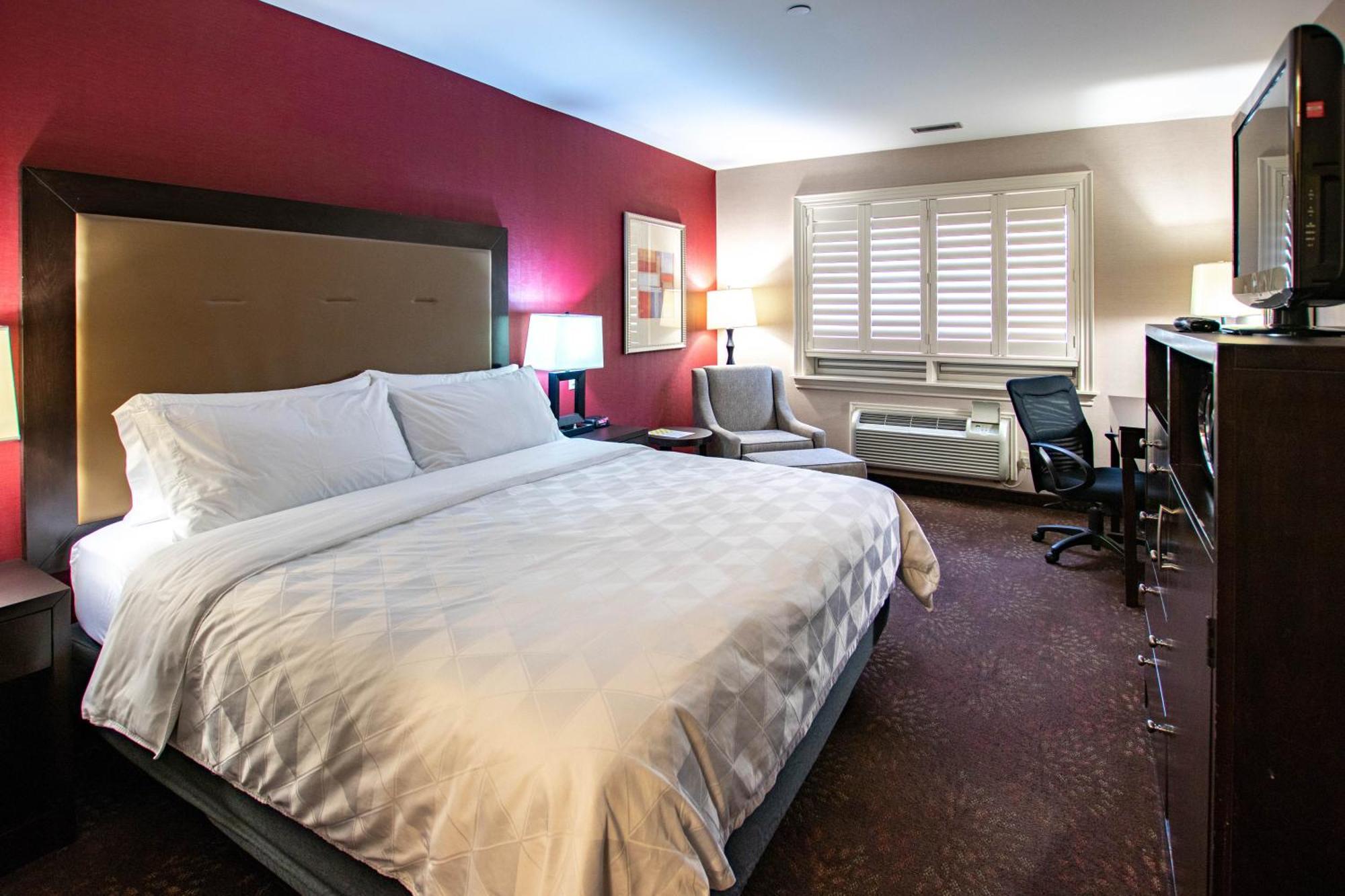 Holiday Inn Hotel & Suites St.Catharines-Niagara By Ihg Sainte-Catherine Dış mekan fotoğraf